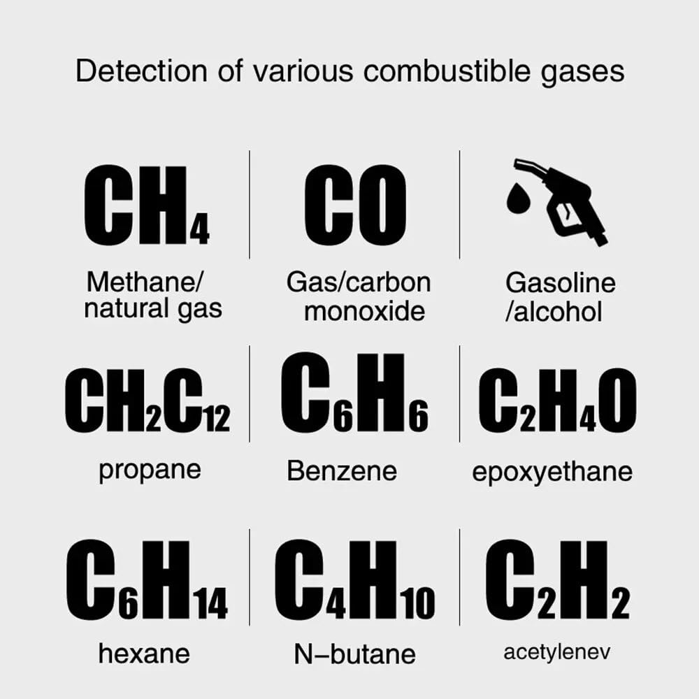 Rilevatore di gas, Rilevatore di perdite gas HT601A HT601B 0-1000PPM Allarme sonoro e schermo metano naturale infiammabile combustibile per lavoro e casa(HT601A)