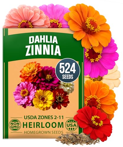 HOME GROWN Zinnia Dahlia Seeds Pack for 2026 Non GMO...