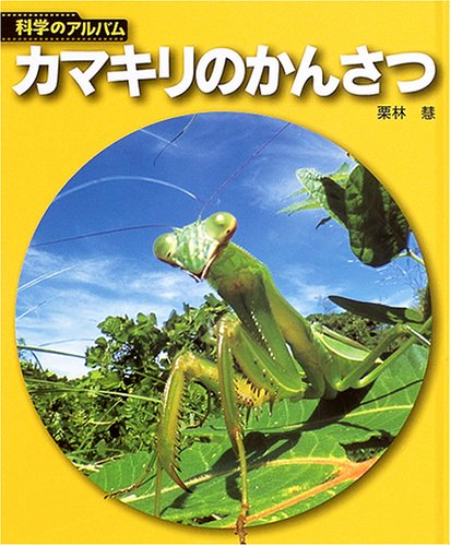 カマキリパパ【4年 理科上1-19、下1-18、社会上1-6、9-19】 hqdefault.jpg