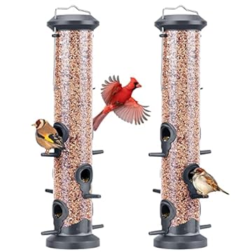 bird feeders for small birds that will transform your backyard experience 2 bird feeders for small birds