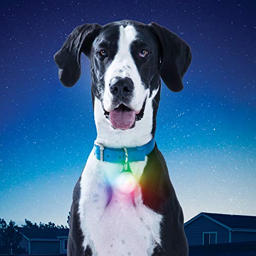 Nite Ize Lanterna de LED Spotlit XL, Luz de Cão com clipe mosquetão, Recarregável por USB, Luz Disc-