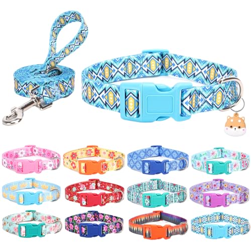 SLZZ Collier pour Chien avec Laisse Étui Porte Airtag - Colliers pour Chiens Mâle Femelle Garçon Fille Chiot X-Petit Petit Moyen Grand Chiens Marche Course Formation - Treillis Bleu-XS