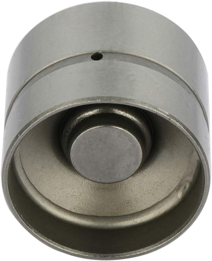 LIFIS16 Hydraulic Tappet Lifter Replacement for 2007-2008 for Chevy Aveo5 1999-2002 for D-aewoo Lanos 2004-2008 for Chevy Aveo 16PCS Hydraulic Lifters