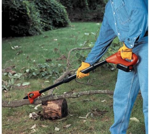 Black & Decker NPP2018 18-Volt Cordless Electric Pole Chain Saw (Older Model)