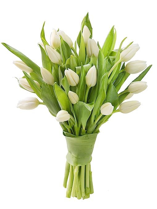 KaBloom 20 White Tulips