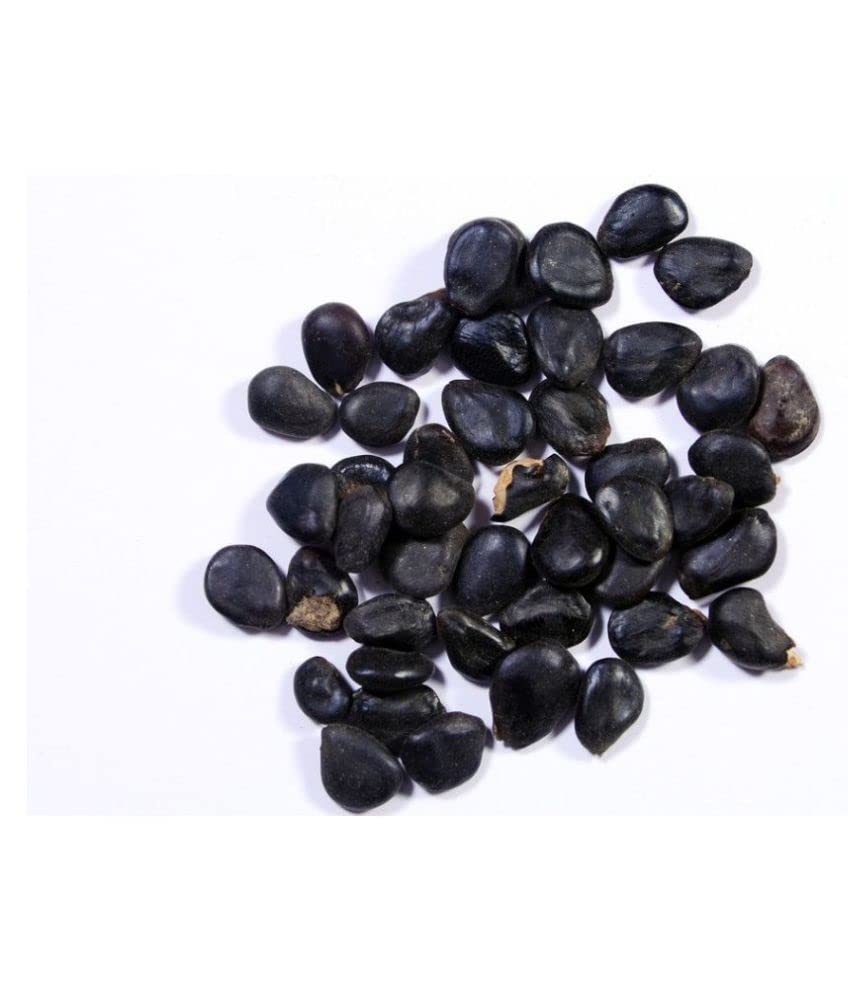 EasySeeds™ Pithecellobium dulce, Mimosa dulcis,Manila tamarind, Madras thorn, Camachile, Bread-and-cheese, Huamuchil, Jungle Jalebi Seeds (250 Seeds) (B0BMZGG79V) Amazon Price History, Amazon Price Tracker