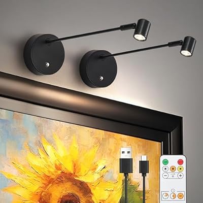 Lights for Pictures On Wall, Battery Operated Picture Light Rechargeable, Black Led Art Lighting for Paintings Wireless with Remote Magnetic Stick Dimmable and Timer?2 Pack