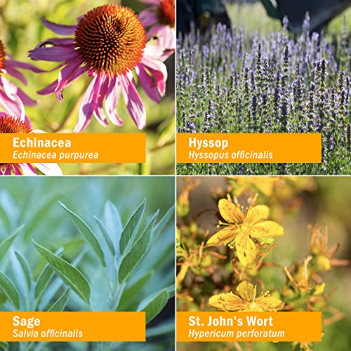 Herb Pharm Soothing Throat Spray Herbal Formula With Echinacea And Propolis, 1 Fl Oz (Pack Of 1) #TOP2