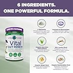 Vital Planet - Vital Gut Renew Powder Supplement for Leaky Gut Repair with L-Glutamine, Marshmallow and Ginger Root, DGL Licorice Root and Organic Aloe Vera, L Glutamine 6000mg 13.76 oz - Image 3