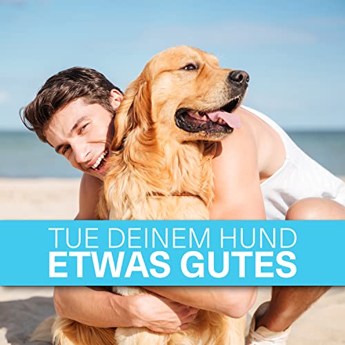 YAVA® medium Halbkugel (1,5cm) Backmatte Hundekekse, Premium Silikon Backmatte für Hundeleckerli, Hundekekse Backform, Leckerli Backmatte für Hunde, Backmatten für Hundeleckerlies, BPA-frei (Türkis)