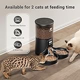 IMIPAW Futterautomat Katze 2 Näpfe - Katzenfutter Automat mit einem Knopf, Zeitgesteuerte Futterautomat 16 Tassen, 4L Katzenfutterspender, 1-6 Mahlzeiten Portionskontrolle