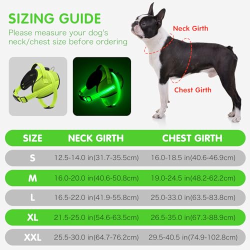 Light Up Hundegeschirr, No-Pull Led Hundegeschirr Wiederaufladbar, Reflektierend Leuchtgeschirr für Hunde, Einstellbar & Komfort Gepolstert für Sicherheit beim Nachtspaziergang (Grün, L)