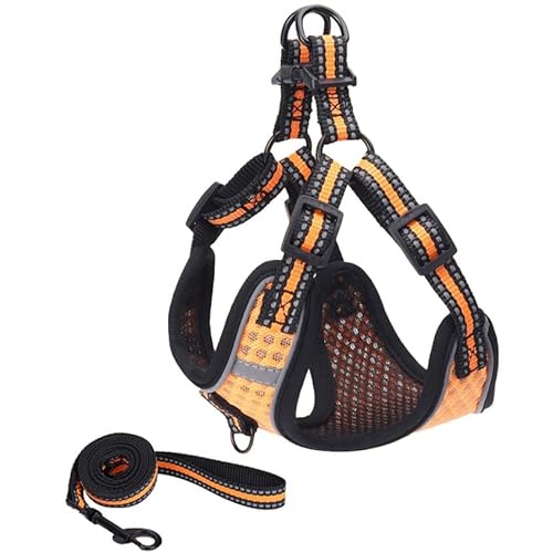 n[lX [h ^ ^ ^ LaLUCA n[lX[hZbg X^_[h Ȃ p   U LaLUCA GOODS