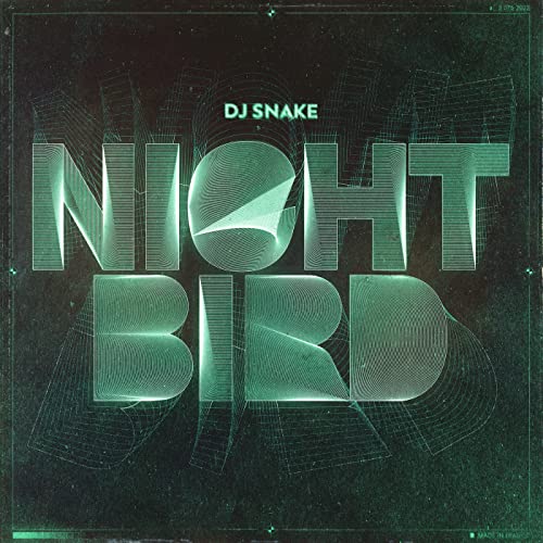 DJ Snake