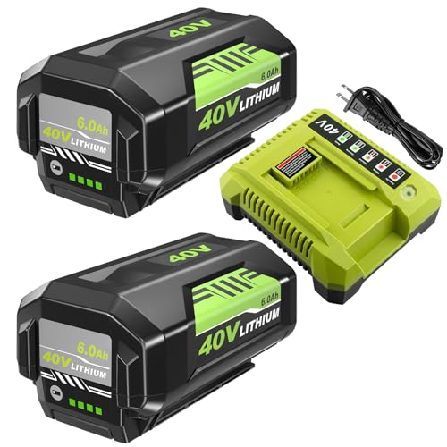Image of 2Pack 6000mAh Lithium Battery Replacement for Ryobi 40V Battery and Charger | Compatible with Ryobi 40 Volt Batteries OP40401 OP4026 OP4030 OP4050 OP40601 Cordless Tools, LED Indicator Lights