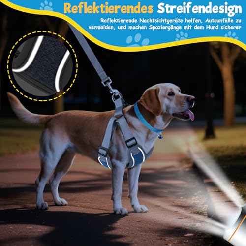 3 Stück Hundegeschirr und Leine Set, Verstellbares Brustgeschirr, Reflektierendes atmungsaktives Hundegeschirr mit D-Ring, Hundegeschirrs Set für Welpen, Kleine Hunde