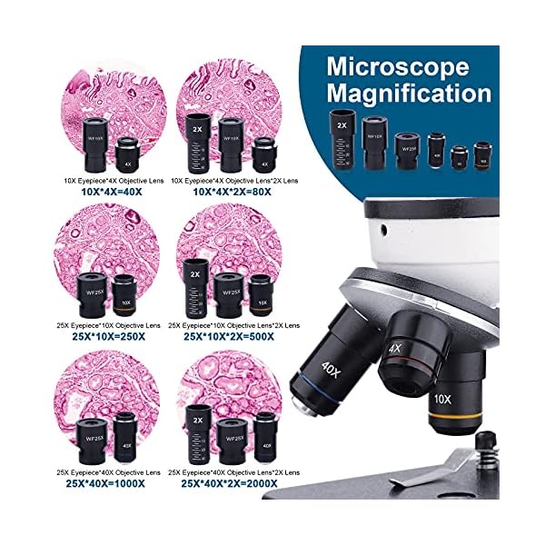 BEBANG-Monocular-Microscope-for-Adults-Students40X-2000X-MagnificationDual-LED-Beginners-Kids-Microscopes-with-Science-KitsPhone-AdapterCarrying-CaseAC-Adapter15-Slides-for-Lab-Class-Study BEBANG-Monocular-Microscope-for-Adults-Students40X-2000X-MagnificationDual-LED-Beginners-Kids-Microscopes-with-Science-KitsPhone-AdapterCarrying-CaseAC-Adapter15-Slides-for-Lab-Class-Study