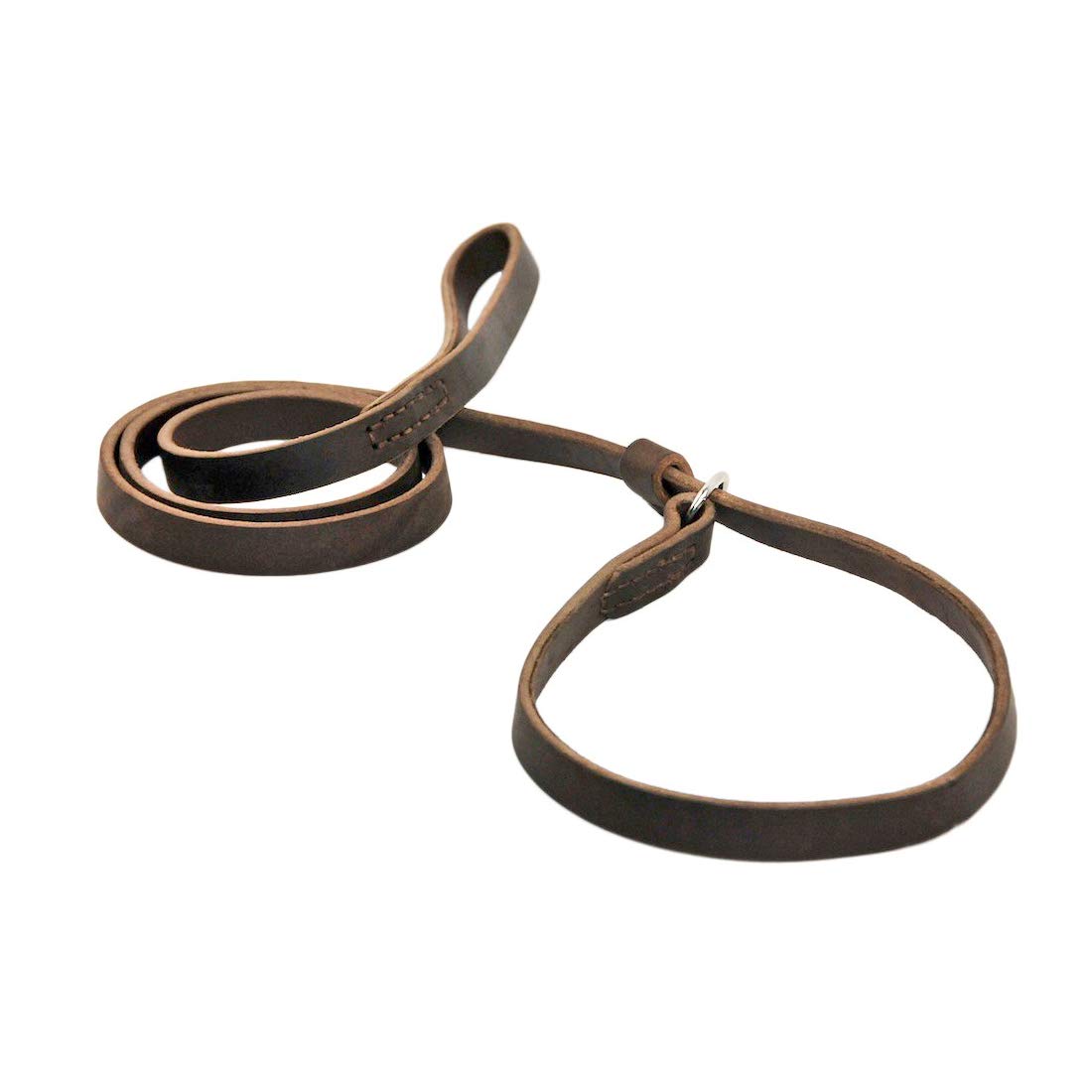 Pet World Dog Leash and Choke Collar with Stainless Steel Hardware (B07V3WJ4QJ) Amazon Price History, Amazon Price Tracker