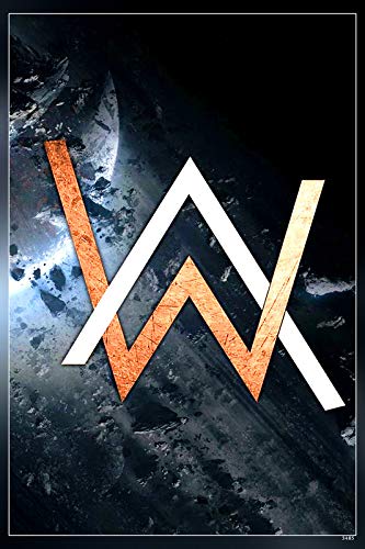 PosterWorld Alan Walker Poster Print 12 x 18 Inch (Multicolor) GI-3485 ...