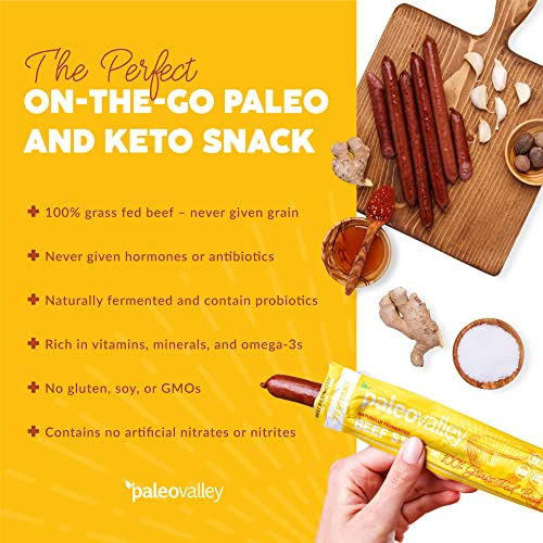Paleovalley: 100% Grass Fed Beef Sticks - Organic Paleo and Keto Snack With Natural Probiotics - 10 Beef Jerky Sticks - Teriyaki Flavor - No Gluten, Soy, or GMOs - Shelf Stable - Made in the USA