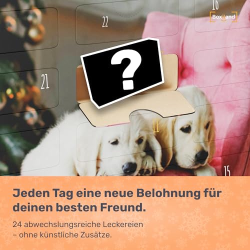 BOXILAND® Hunde Adventskalender 2025 [MIT 24 LECKERLIES] – Weihnachtskalender Geschenk – Geschenkidee Hunde (Hergestellt in DE)