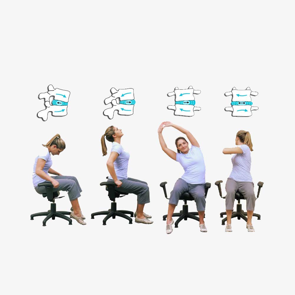 Lower Back Chair Stretches