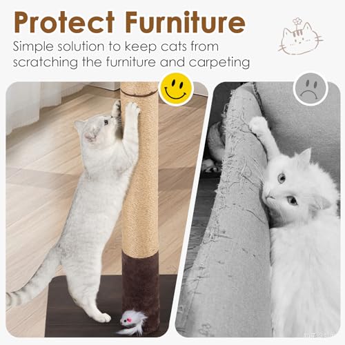 Rascador para Gatos con Base de Madera y Juguetes miniatura 3