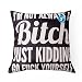DolphineShow Bitch Pattern Cotton Linen Pillow Shams Square Game Theme/Adult Theme Rome basement Decor Sofa Throw Pillow Case Couch Cushon Cover 18x18 Inches Fun Gift