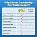 Scrub Daddy 6 Kitchen Sponges & 1 Daddy Caddy Dish Sponge Holder - BPA Free & Made with Polymer Foam - Stain & Odor Resistant, Scratch-Free Multipurpose Scrubbers