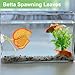 CAPASTEC Betta Fish Leaf, Natural Habitat Simulation for Betta Spawnings Grounds, Betta Spawnings Leaves, Resting Bed, Large Small Leaves, Orange Yellow