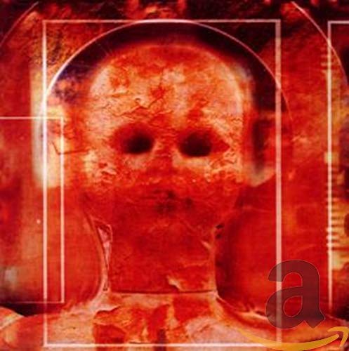 Punishments In Capitals ( CD & DVD Set )