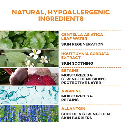 Nolahour Vegan Watery Moisturizer 2.71 Fl. Oz.| Face Hydrating Moisturizer & Face Cream | Face Moisture Balance For Oily & Sensitive Skin | Soothing Centella Asiatica Cream & Facial Moisturizer #TOP2