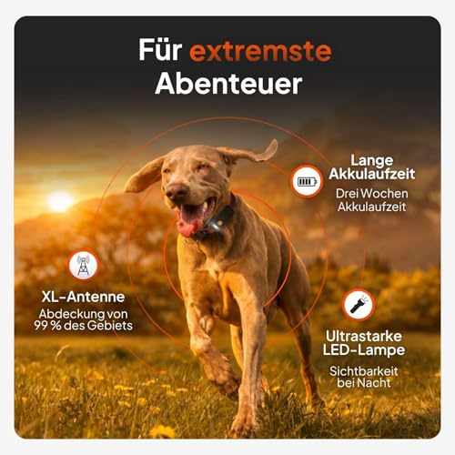 Weenect Hund XT - NEUES GPS-Halsband für Hunde | XL-Antenne | Wasserdicht | Hyperresistentes integriertes Julius-K9 Halsband Blau Abonnement erforderlich