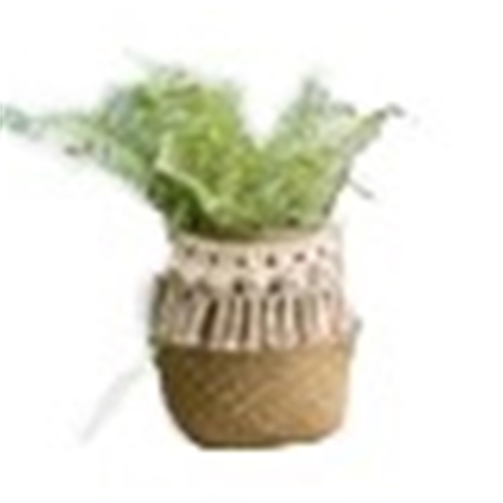 JFNKLFG Woven Plant Pot 3pcs Wicker Basket Woven Seagrass For Plant Pot Organizer Laundry Picnic(TY927,22x20cm)