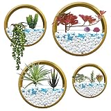 VEVLU Set of 4 Hanging Planter, Metal Round Black Wall Planter with 10 Artificial Succulents, Wall H