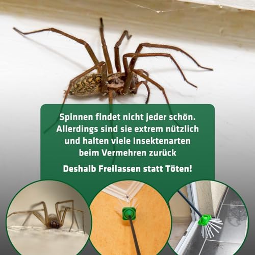 Spinnenfänger Gardigo mit 60 cm Stab für sicheres Fangen von Insekten