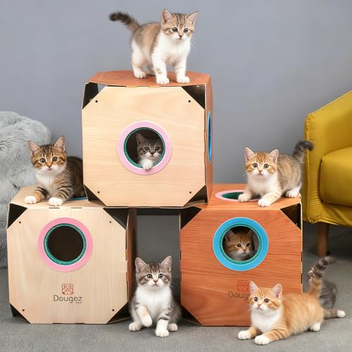 Cardboard Cat House - Indoor Cat Cave Bed with Scratcher