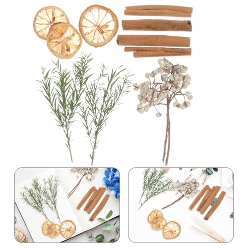Material de Flores Secas para Manualidades miniatura 7