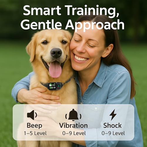 Dog Wearing GPS Wireless Collar Outdoors