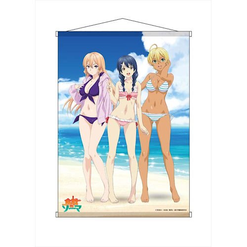 Amazon.co.jp: 食戟のソーマ Side Girls B2タペストリー 73 × 52cm