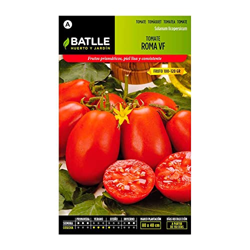Semillas Batlle Semences de tomates Roma VF