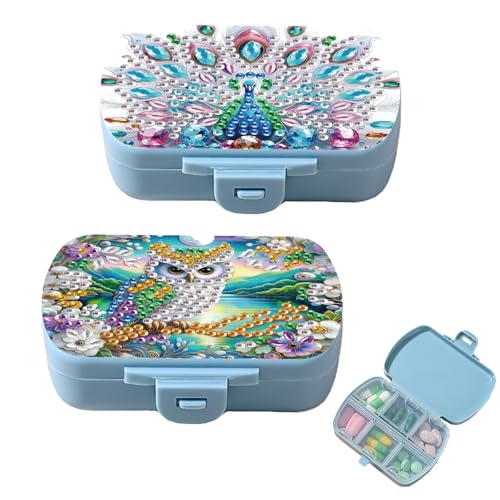Image of ARTopet 2Pcs Diamond Art Painting Mini Storage Box with 6-Grid Creative Design Compact Portable Small Case for Purse Travel Daily-02