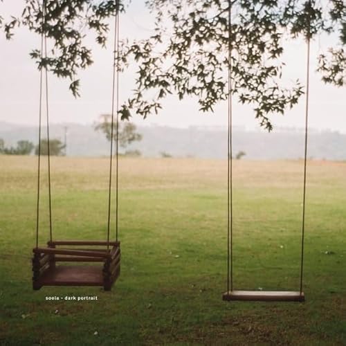 Dark Portrait - Vinyl release thumbnail