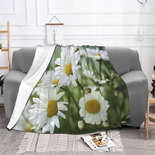 Couverture polaire de lit douce imprimé marguerites pour soirées canapé - 3
