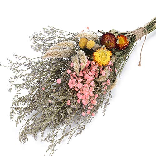 XHXSTORE Flores Secas Naturales Rosas Ramo Flores Gypsophila y Margarita para 0ficina...