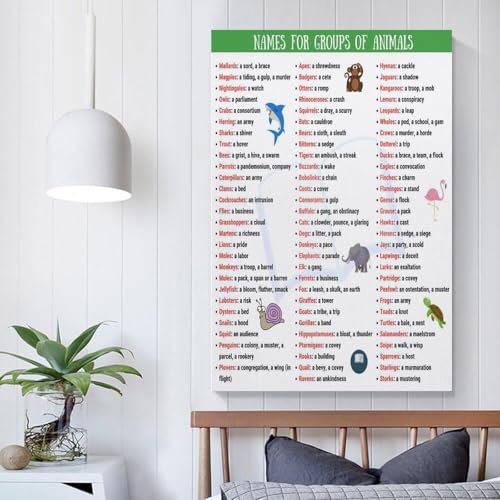 Poster animaux vocabulaire insolite deco murale originale encadre