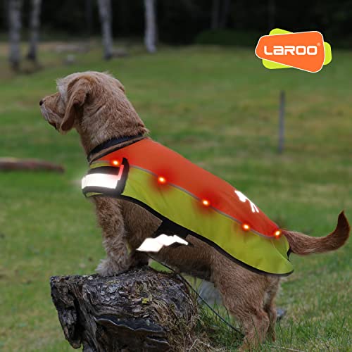 LaRoo Hunderegenmantel, Leuchtendes LED Wasserdicht Winter Reflektierende Regenmantel für Hunde mit Bauchschutz,USB Wiederaufladbarem Sicherheitsweste für Kleine Grosse Hunde(M,Fluoreszierende Orange)