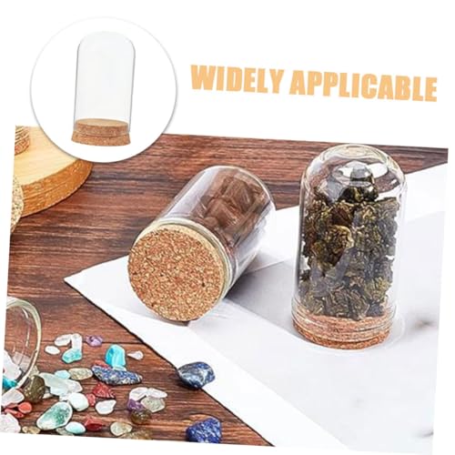 Cabilock 4 Stück Mini Glaskuppel mit Korken Kleine Glasglocke für Ewige Rose & DIY Mikrolandschaft Miniatur Glashaube für Basteln, Deko