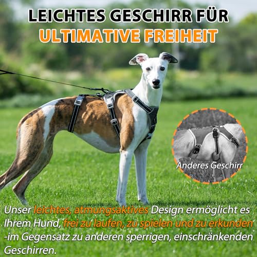 Huntboo Sicherheitsgeschirr Hund Ausbruchsicher, Panikgeschirr für Hunde, Anti Zug Hundegeschirr, Reflektierend, Verstellbare, Leichte Weste für kleine, mittelgroße und große Haustiere (Schwarz,L)