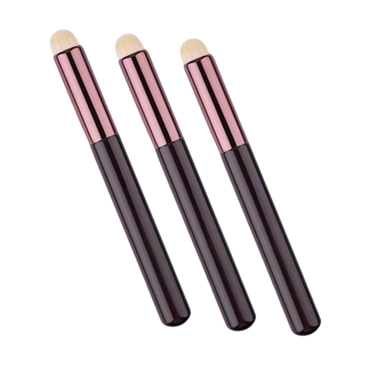 SOESFOUFU Mini Lip Smudge Brush Makeup Brush Set for Blending for Beginners Professionals